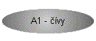 A1 - vy