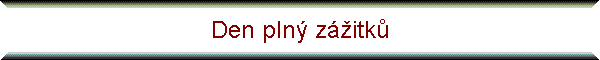 Den pln zitk