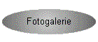 Fotogalerie