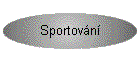 Sportovn