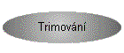 Trimovn