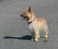 P1130577_Kamei.jpg